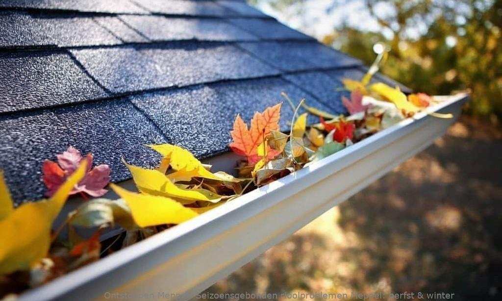 Seizoensgebonden rioolproblemen Meppel: herfst & winter